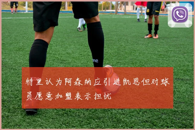特里认为阿森纳应引进凯恩但对球员愿意加盟表示担忧