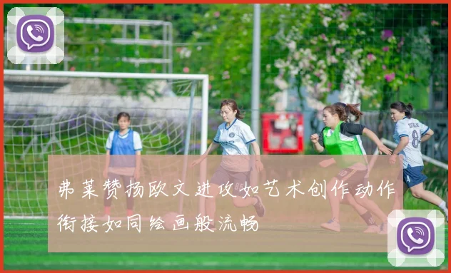 弗莱赞扬欧文进攻如艺术创作动作衔接如同绘画般流畅